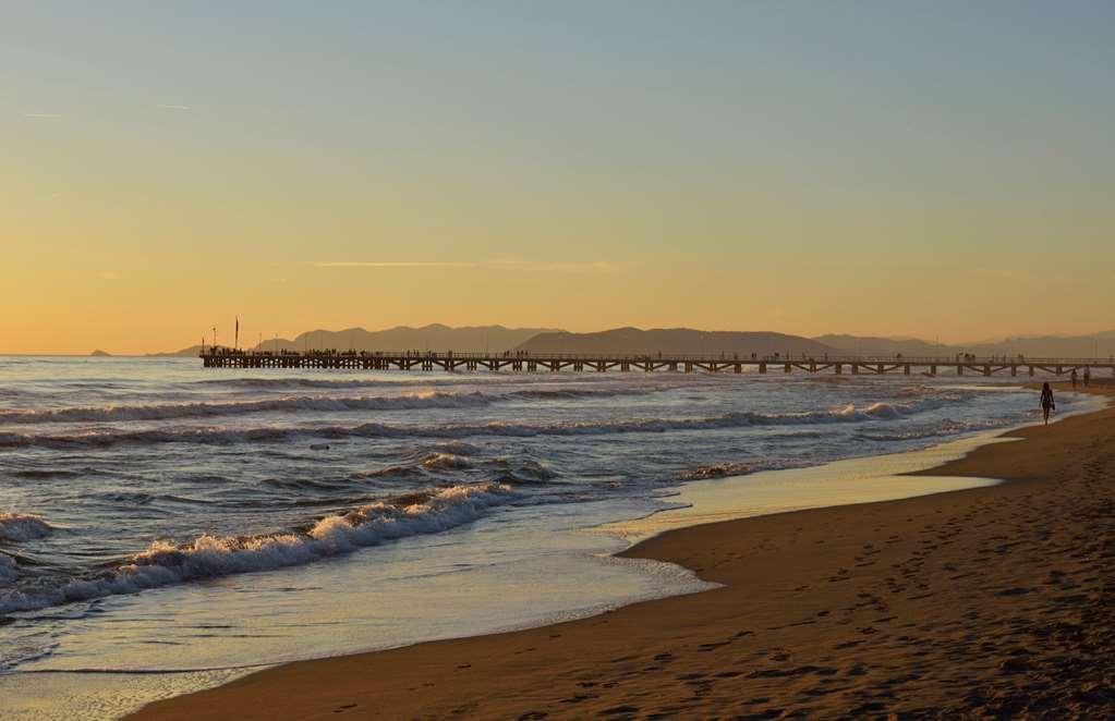 Villa Roma Imperiale Forte dei Marmi Natuur foto